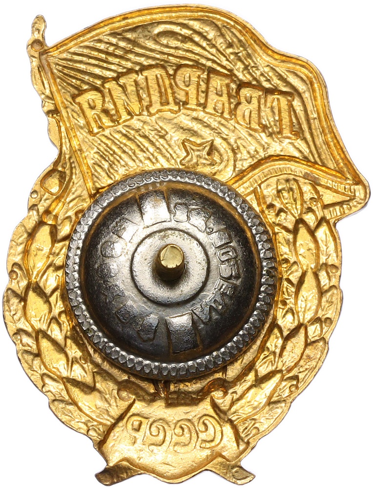 Знак «Гвардия» (Тяжелый) — Фото №2