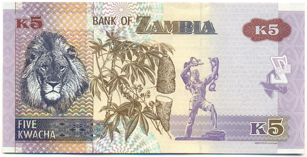 5 квача 2021 года Замбия — Фото №2