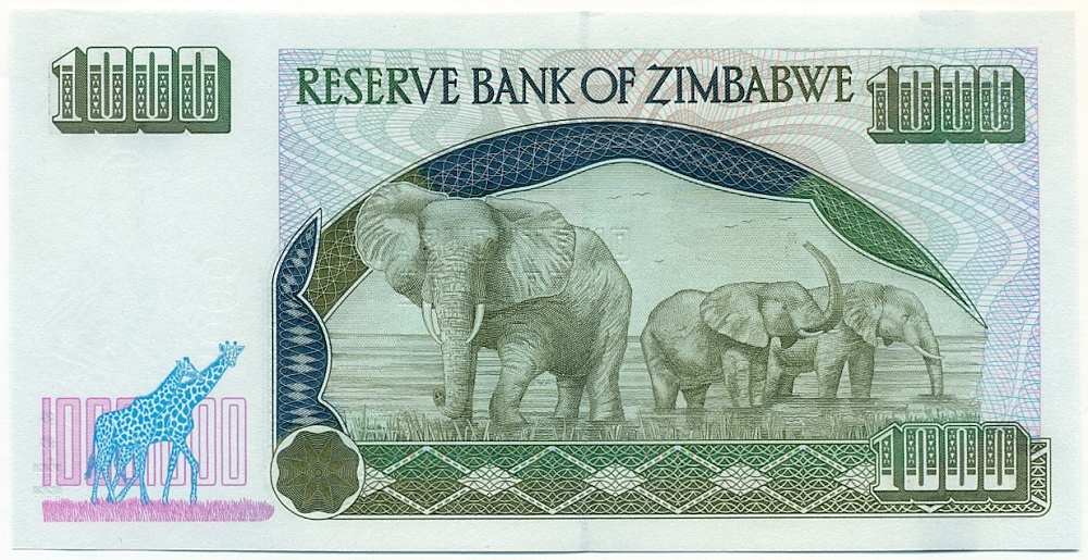 1000 долларов 2003 года Зимбабве — Фото №2
