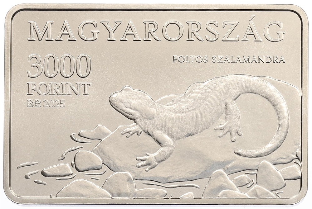 3000 форинтов 2025 года Венгрия «Национальные парки Венгрии — Национальный парк Аггтелек» — Фото №1
