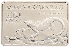 3000 форинтов 2025 года Венгрия «Национальные парки Венгрии — Национальный парк Аггтелек» — Фото №1