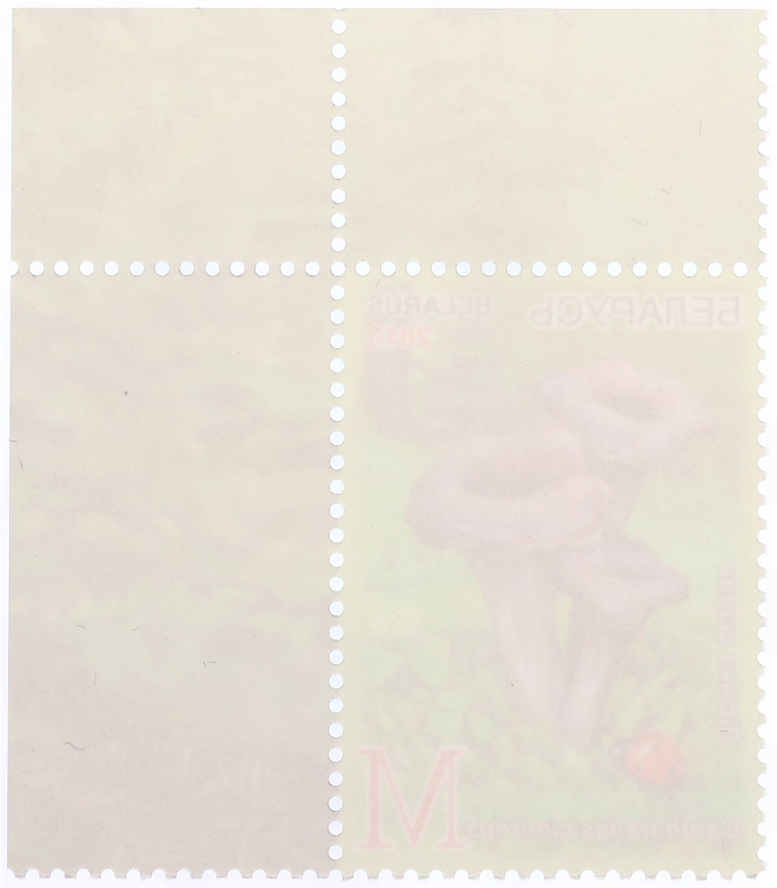 Почтова марка 2013 года Белоруссия «Съедобные грибы» — Фото №2