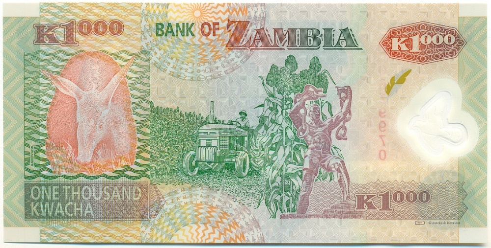 1000 квача 2011 года Замбия — Фото №2