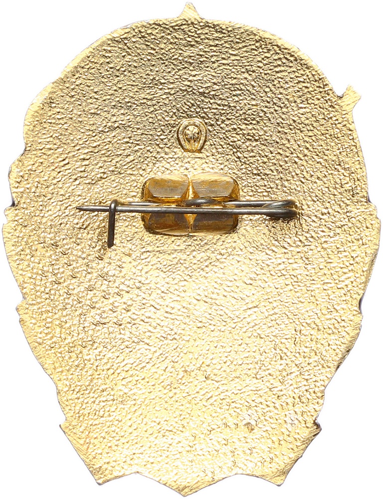 Знак СССР «Ударник 9 пятилетки» — Фото №2