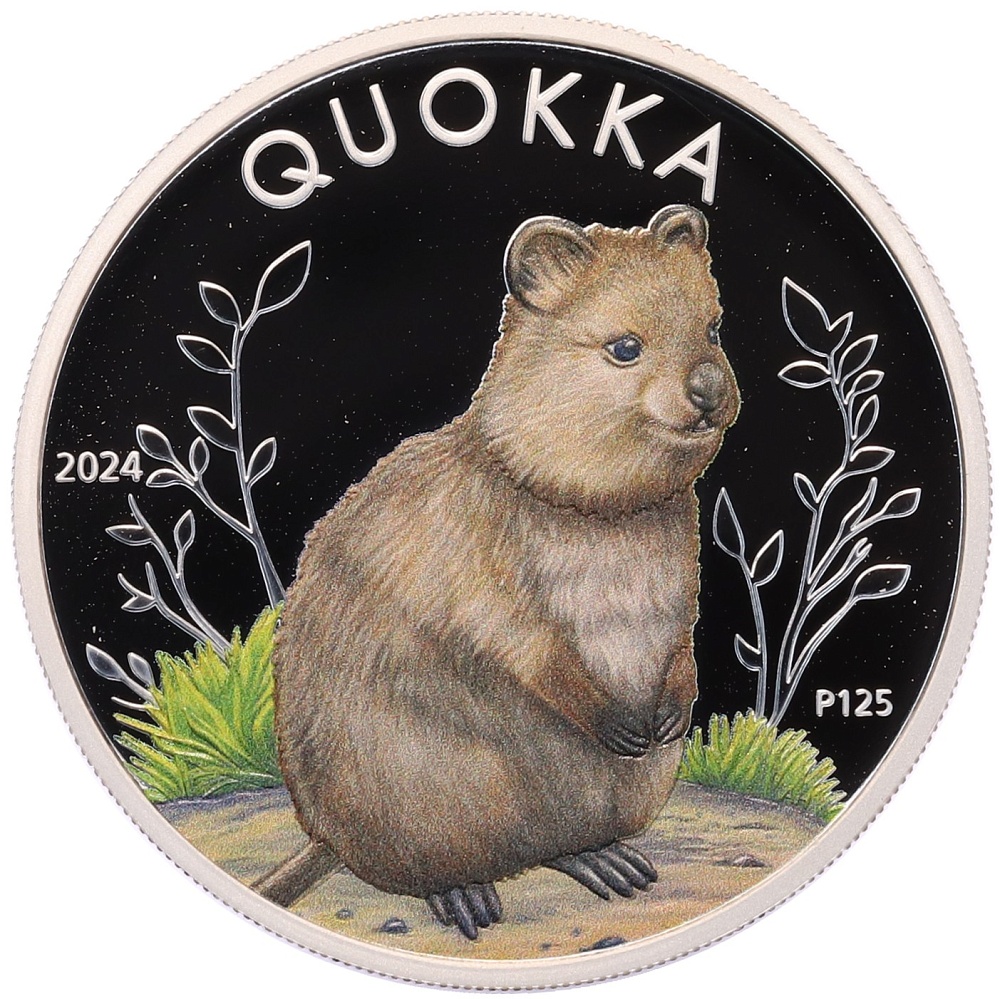 1 доллар 2024 года Австралия «Квокка» (Цветное покрытие) — Фото №1