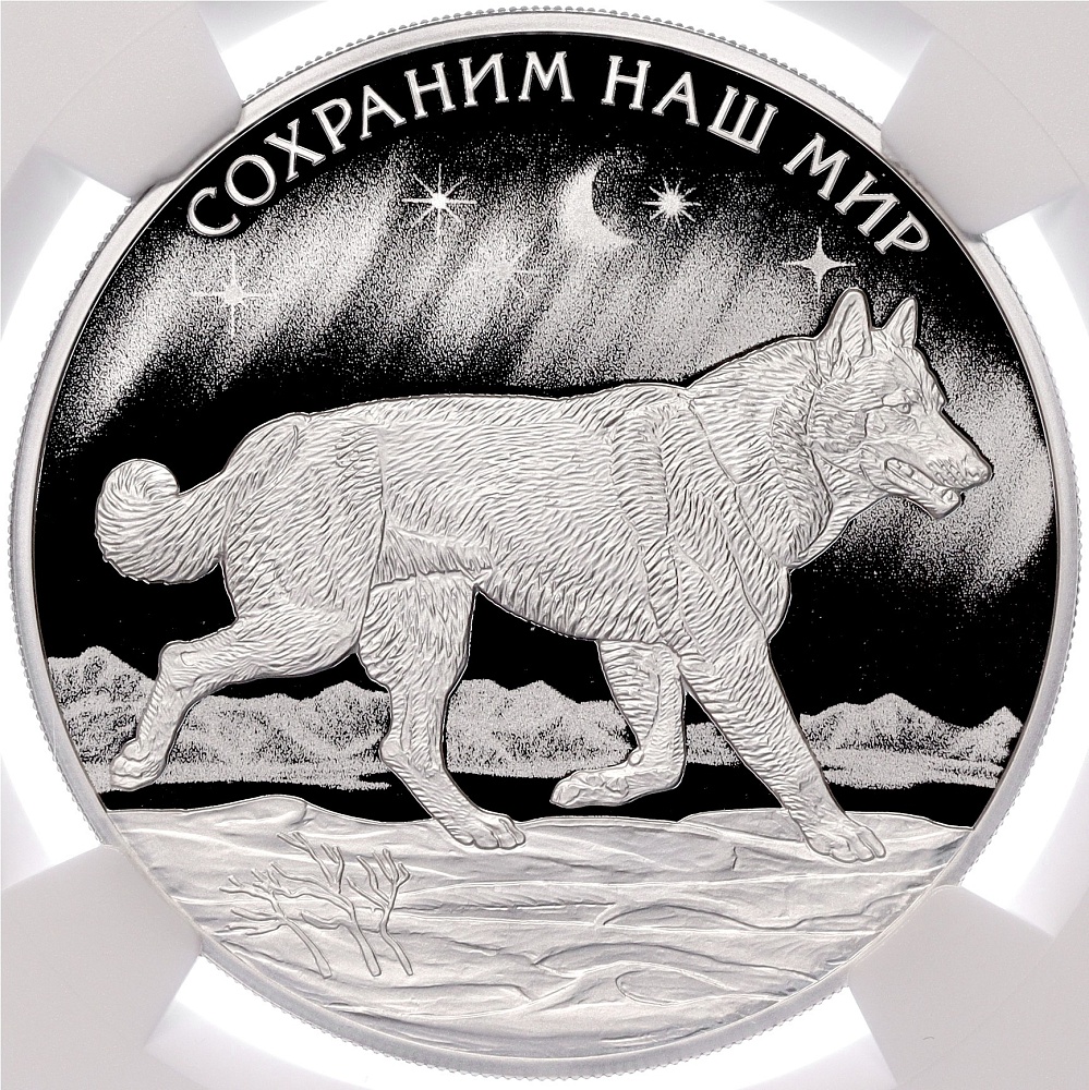 3 рубля 2020 года СПМД «Сохраним наш мир — Полярный волк» в слабе NGC (PF70 ULTRA CAMEO) — Фото №1