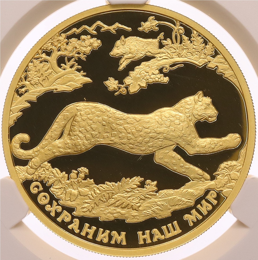 200 рублей 2011 года ММД «Сохраним наш мир — Переднеазиатский леопард» — Фото №1