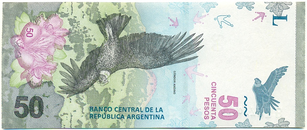 50 песо 2018 года Аргентина — Фото №1