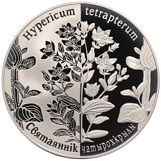 1 рубль 2014 года Белоруссия «Возрожденные растения — Зверобой четырехкрылый» — Фото №1