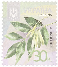 Почтовая марка 30 копеек 2013 года Украина «Деревья» — Фото №1