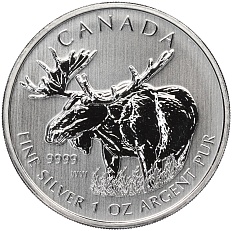 5 долларов 2012 года Канада «Канадская Фауна — Лось» — Фото №1