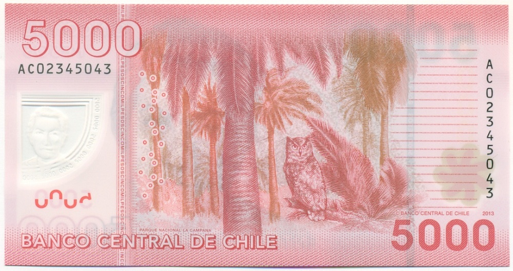 5000 песо 2013 года Чили — Фото №2