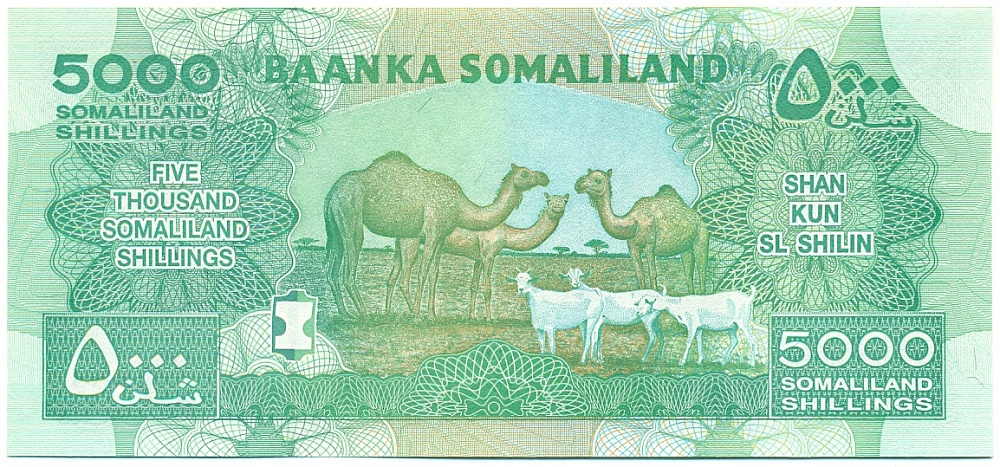 5000 шиллингов 2012 года Сомалиленд — Фото №2