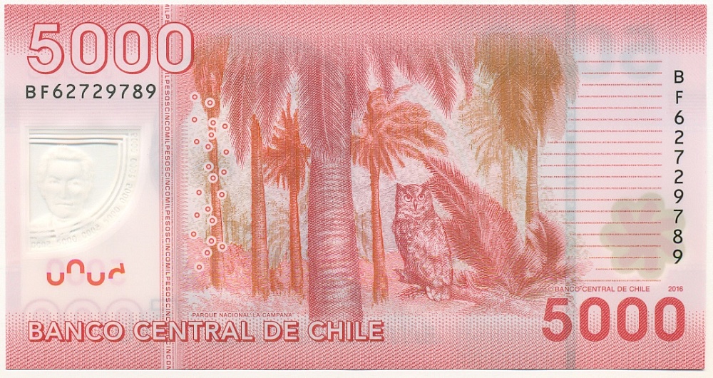 5000 песо 2016 года Чили — Фото №2