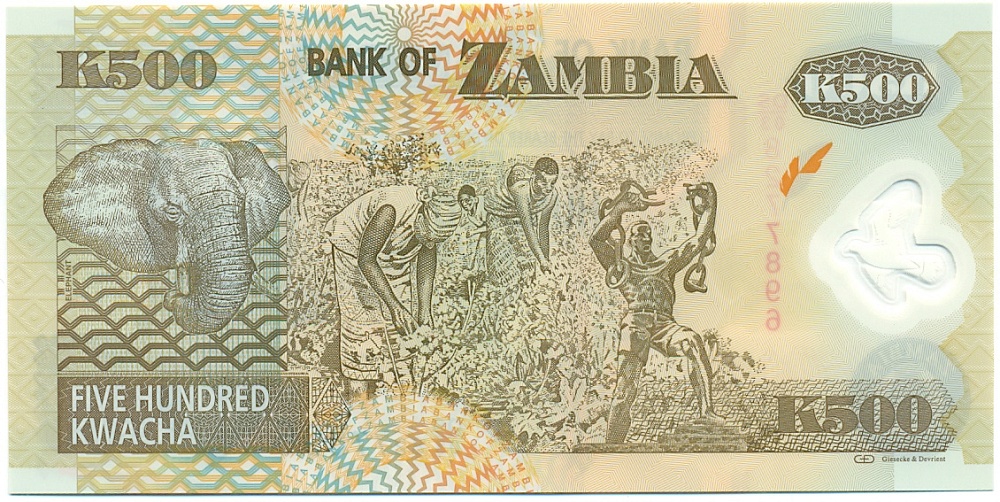 500 квача 2011 года Замбия — Фото №2
