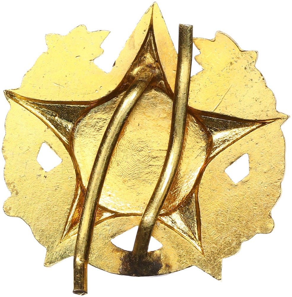 Знак (кокарда) Венгрия «КТР — Венгерский оборонный союз» — Фото №2