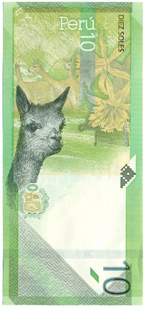 10 солей 2019 года Перу — Фото №2