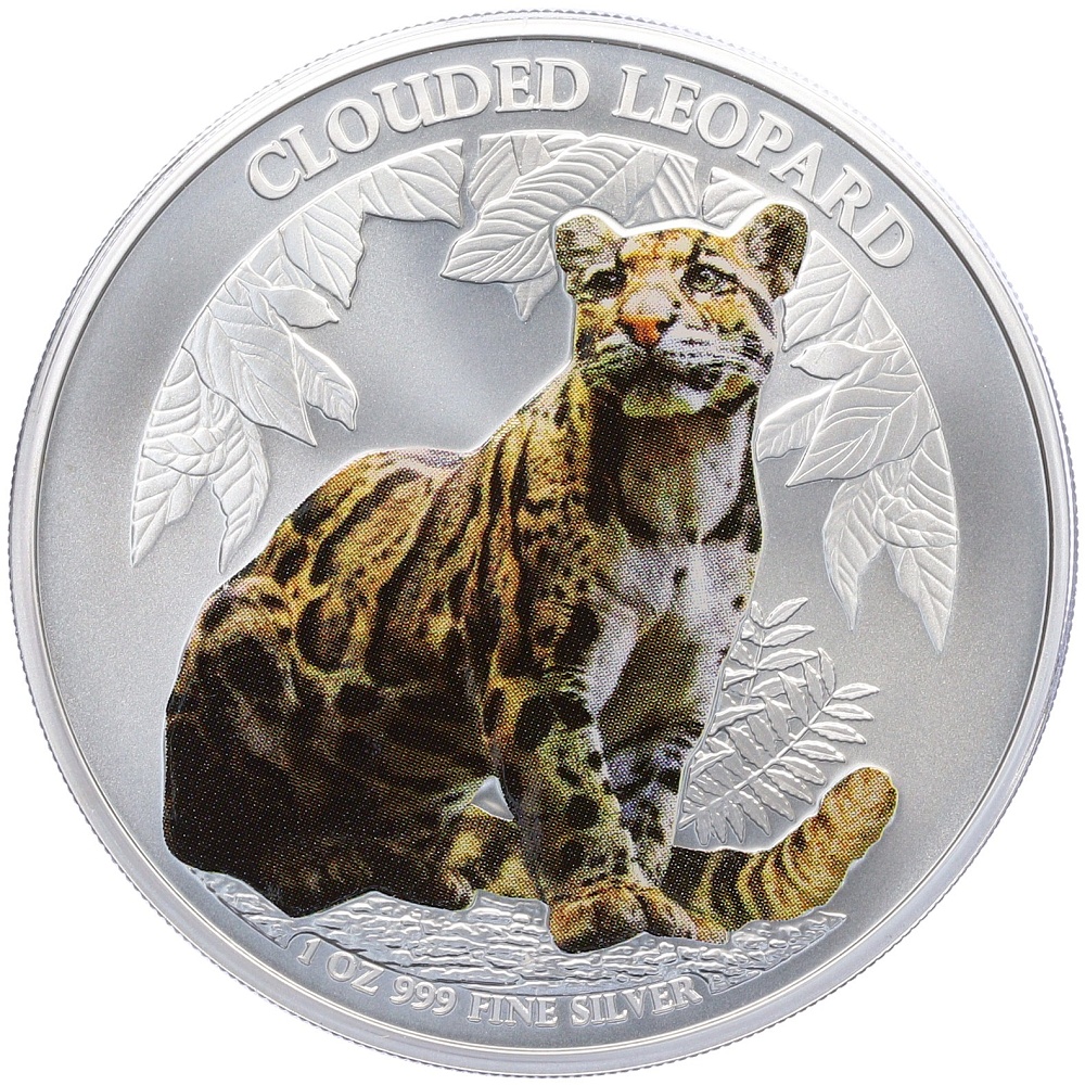 3000 риелей 2023 года Камбоджа «Дымчатый леопард» (Цветное покрытие) — Фото №1