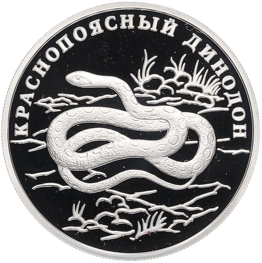 1 рубль 2007 года СПМД «Красная книга — Краснопоясный динодон» — Фото №1
