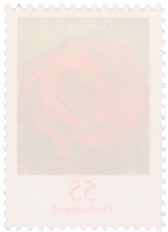 Почтовая марка 55 евроцентов 2008 года Германия — Фото №2