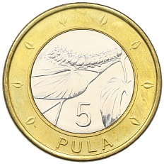 5 пул 2013 года Ботсвана — Фото №1