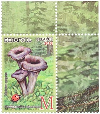 Почтова марка 2013 года Белоруссия «Съедобные грибы» — Фото №1