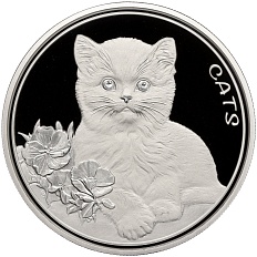 50 центов 2022 года Фиджи «Кошки» — Фото №1