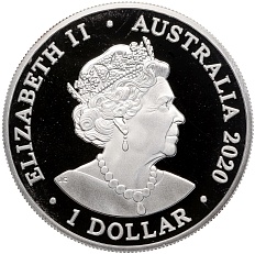 1 доллар 2020 года Австралия «Длиннорылый продельфин (Вертящийся дельфин)» — Фото №2