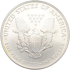 1 доллар 2007 года США «Шагающая Свобода» (Цветное покрытие) — Фото №2