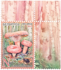 Почтова марка 2013 года Белоруссия «Съедобные грибы» — Фото №1