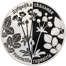 20 рублей 2017 года Белоруссия «Возрожденные растения — Лапчатка скальная (Potentilla rupestris)» — Фото №1