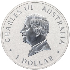 1 доллар 2024 года Австралия «Австралийский клинохвостый орел — 10-летие чеканки монет» — Фото №2