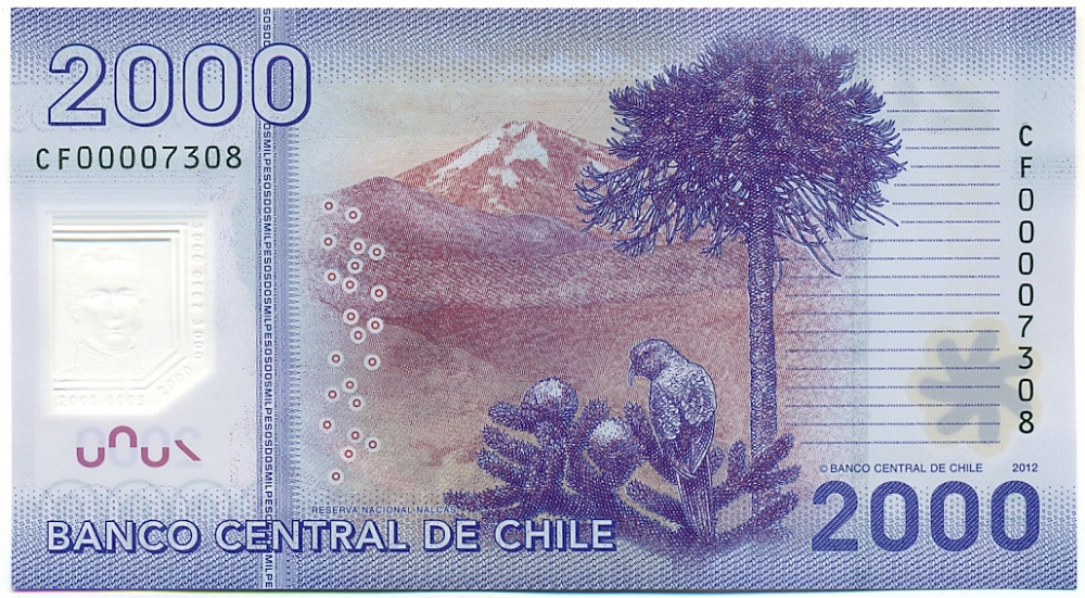 2000 песо 2012 года Чили — Фото №2