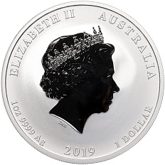 1 доллар 2019 года Австралия «Китайский гороскоп — Год свиньи» — Фото №2