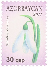Почтовая марка 30 гяпиков 2011 года Азербайджан — Фото №1