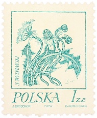 Почтовая марка 1 злотый 1974 года Польша — Фото №1