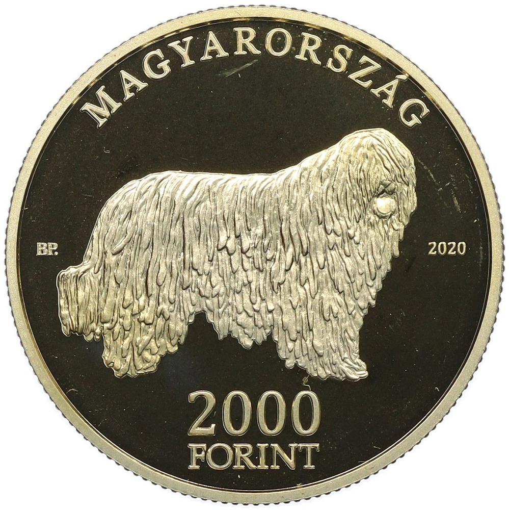 2000 форинтов 2020 года Венгрия «Венгерские овчарки и породы охотничьих собак — Комондор» — Фото №2