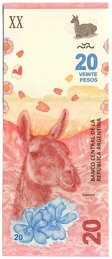 20 песо 2017 года Аргентина — Фото №1