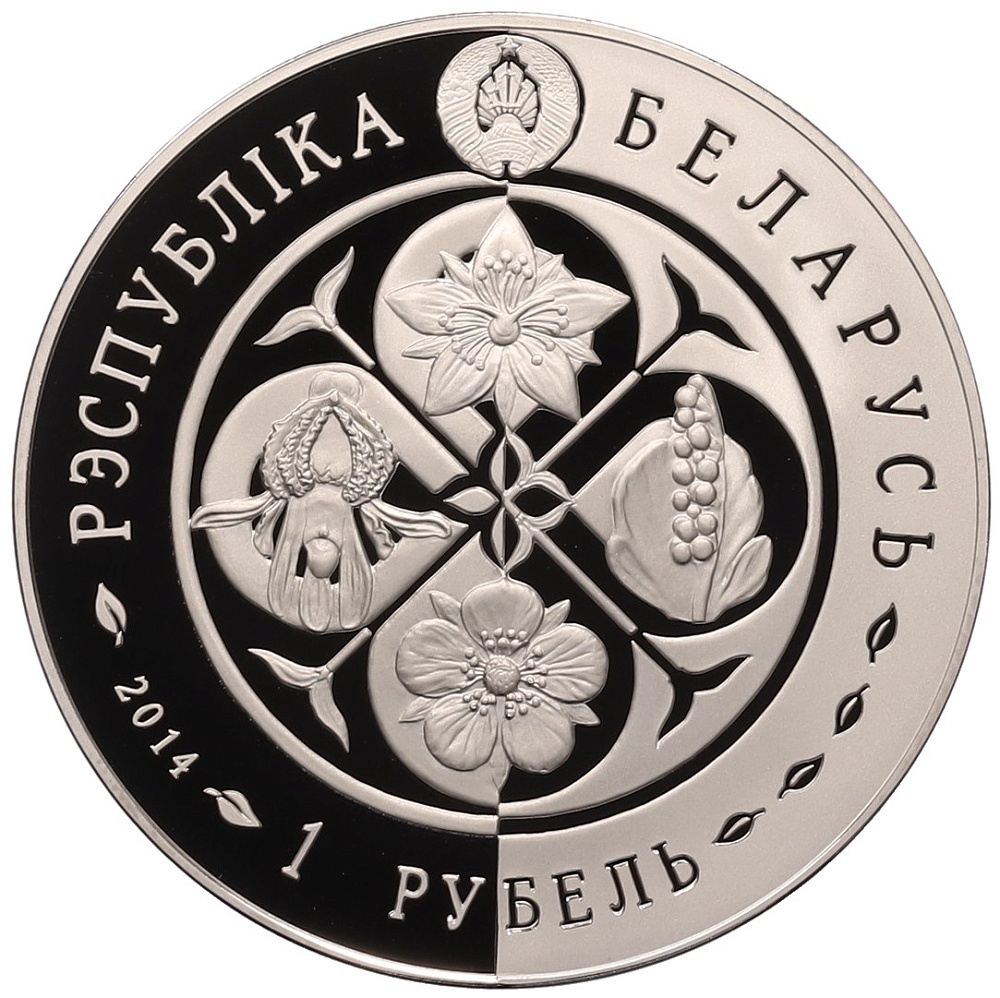 1 рубль 2014 года Белоруссия «Возрожденные растения — Зверобой четырехкрылый» — Фото №2