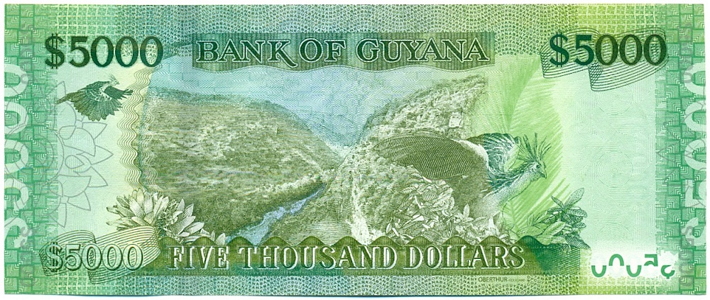 5000 долларов 2022 года Гайана — Фото №2