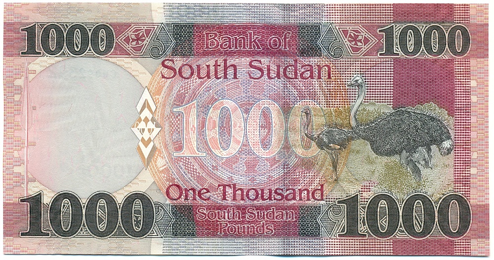 1000 фунтов 2024 года Южный Судан — Фото №2
