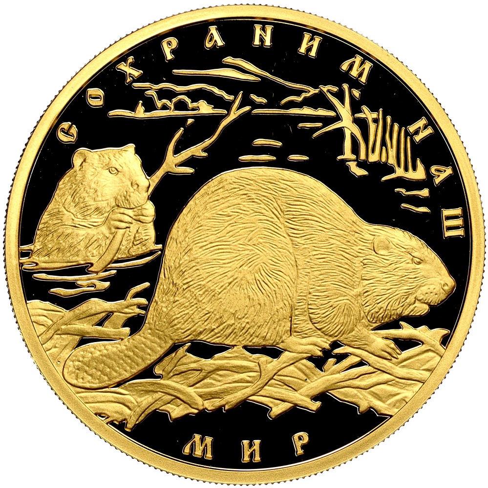 100 рублей 2008 года СПМД «Сохраним наш мир — Речной бобр» — Фото №1