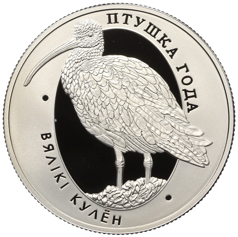 1 рубль 2011 года Белоруссия «Птица года — Большой кроншнеп» — Фото №1
