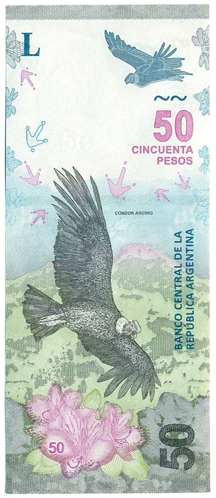 50 песо 2020 года Аргентина — Фото №1