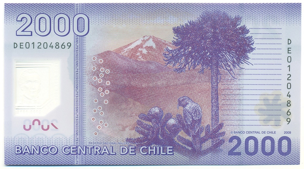 2000 песо 2009 года Чили — Фото №2