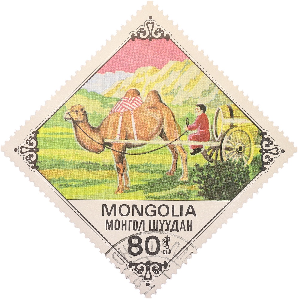 Почтовая марка 80 мунгу 1978 года Монголия «Перевозка грузов на верблюде» — Фото №1