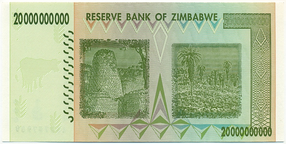 20 миллиардов долларов 2008 года Зимбабве — Фото №2
