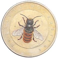 5 евро 2023 года D Германия «Чудесный мир насекомых — Рыжая осмия» — Фото №1