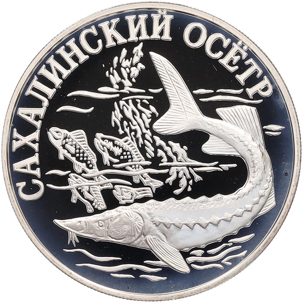 1 рубль 2001 года СПМД «Красная книга — Cахалинский осетр» — Фото №1