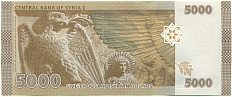 5000 фунтов 2024 года Сирия — Фото №2